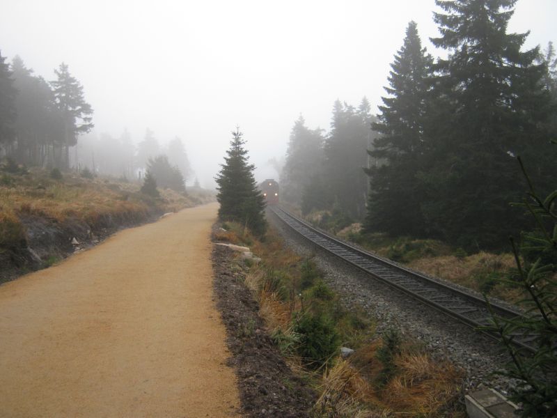 2009-10-29 Brocken (02) next to tracks...